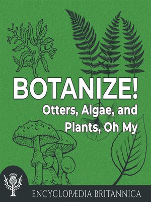cover image of Otters, Algae, and Plants, Oh My